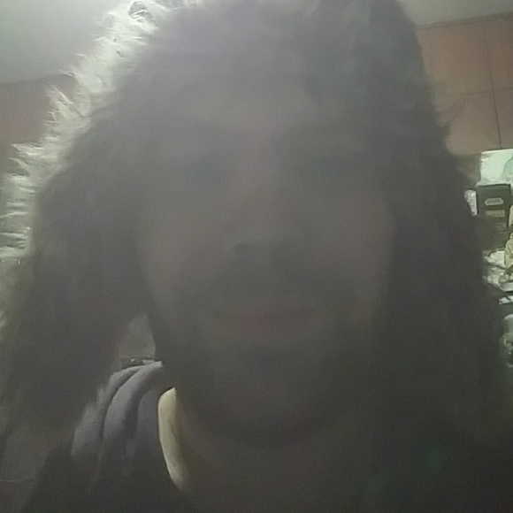 Meet your Posher, Daniel - Picture 3 of 3